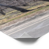 Apple-bomen in een roeoliefabriek, foto's schilder poster (Hoek)