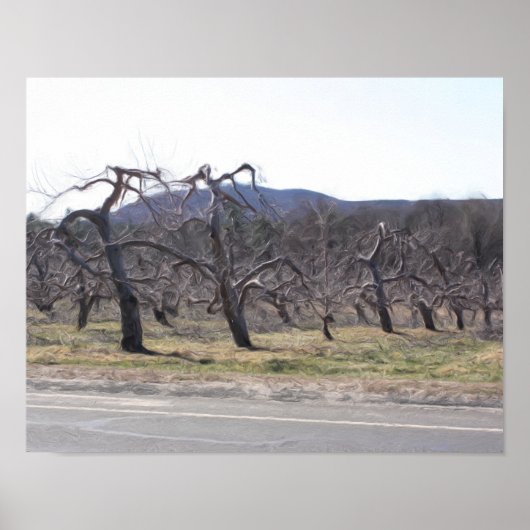 Apple-bomen in een roeoliefabriek, foto's schilder poster (Voorkant)