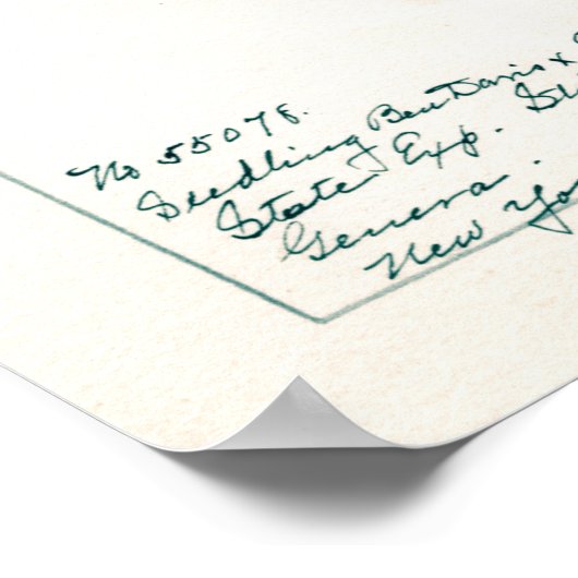  Apple Botanische illustratie Poster (Hoek)