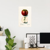  Apple Botanische illustratie Poster (Thuiskantoor)