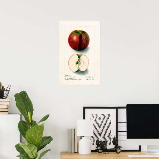  Apple Botanische illustratie Poster (Thuiskantoor)