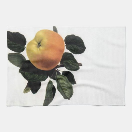 Apple Branch American MoJo Kitchen Towel Theedoek (Horizontaal)