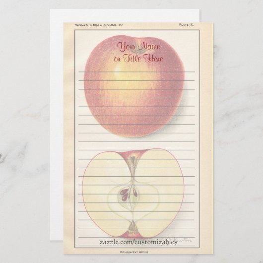  Apple-briefpapier Briefpapier (Voorkant / Achterkant)