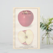  Apple-briefpapier Briefpapier (Staand voorkant)