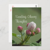 Apple Buds Briefkaart- aanpassen Briefkaart (Voorkant / Achterkant)