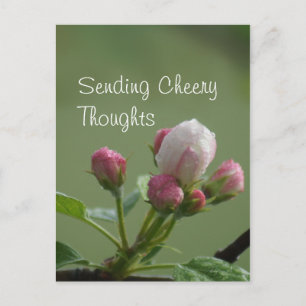 Apple Buds Briefkaart- aanpassen Briefkaart
