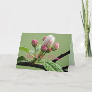 Apple Buds Kaart - elke gelegenheid aanpassen