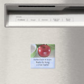 Apple Docent Zeggen Magneet (Insitu (Vaatwasser))