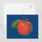 Apple  fruit illustratie briefkaart (Voorkant / Achterkant)