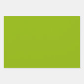 Apple green (vaste kleur) inpakpapier vel (Voorkant 3)