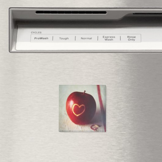 Apple hartmagneet magneet (Insitu (Vaatwasser))