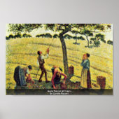 Apple Harvest at Eragny, van Camille Pissarro Poster (Voorkant)