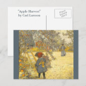 Apple Harvest van Carl Larsson Briefkaart (Voorkant / Achterkant)