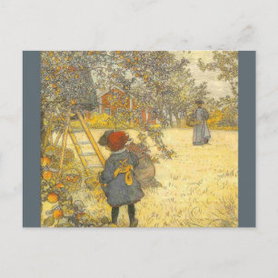 Apple Harvest van Carl Larsson Briefkaart
