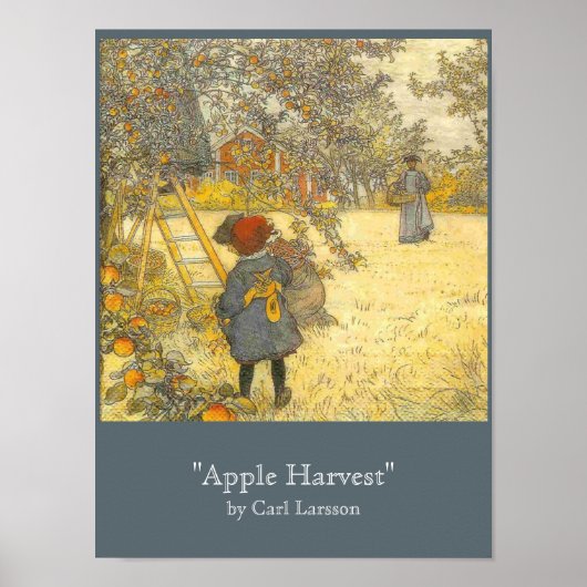 Apple Harvest van Carl Larsson Poster (Voorkant)