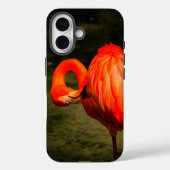 APPLE i PHONE CASE WITH A FLAMINGO DESIGN (Achterkant)