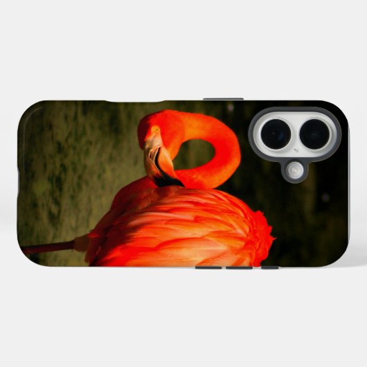 APPLE i PHONE CASE WITH A FLAMINGO DESIGN (Achterkant (horizontaal))