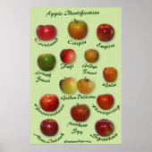 Apple Identificatie Poster (Voorkant)