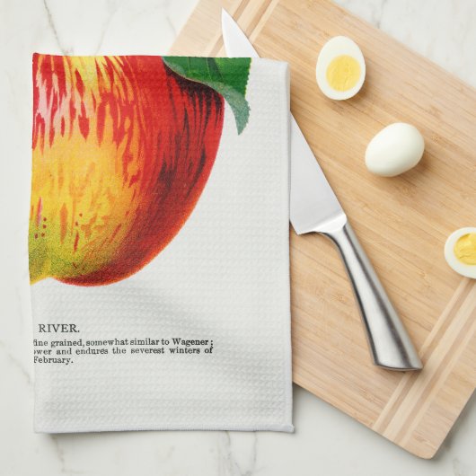 Apple Illustratie Keukenhanddoek (Quarter Fold)