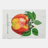 Apple  Illustratie Keukenhanddoek (Horizontaal)