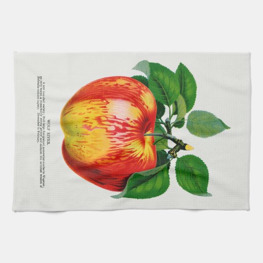 Apple  Illustratie Keukenhanddoek (Horizontaal)