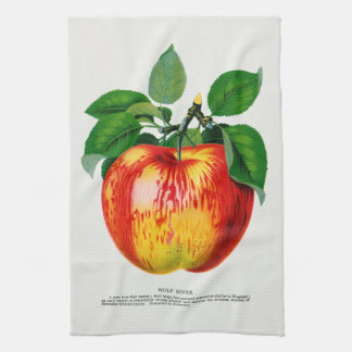 Apple Illustratie Keukenhanddoek