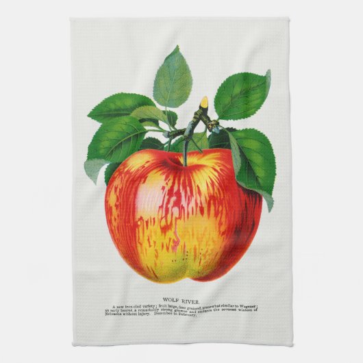 Apple  Illustratie Keukenhanddoek (Verticaal)