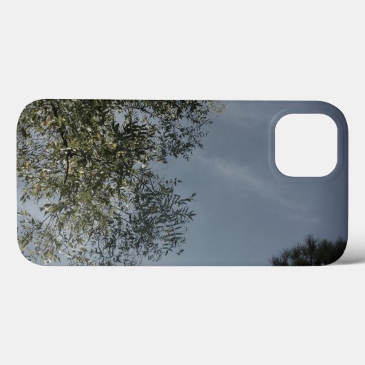 Apple iPhone13 hoesje Cool Eco Design Style (Achterkant (horizontaal))