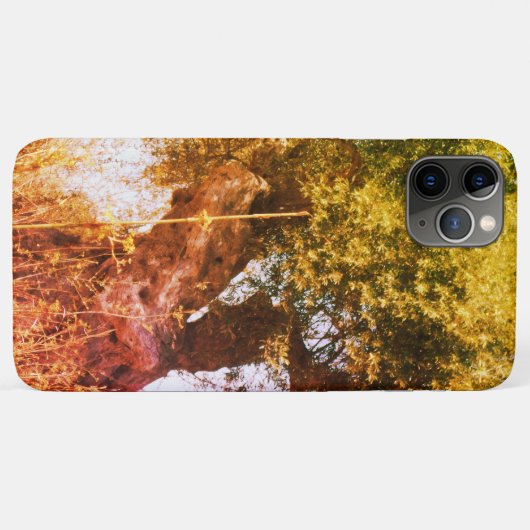 Apple iphone 11 pro max hoesje art & design stijl (Achterkant (horizontaal))