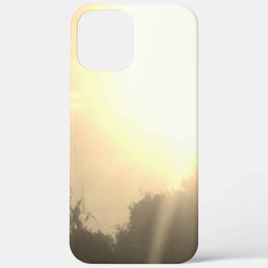 apple iphone 12 Pro hoesje kunst en design (Achterkant)