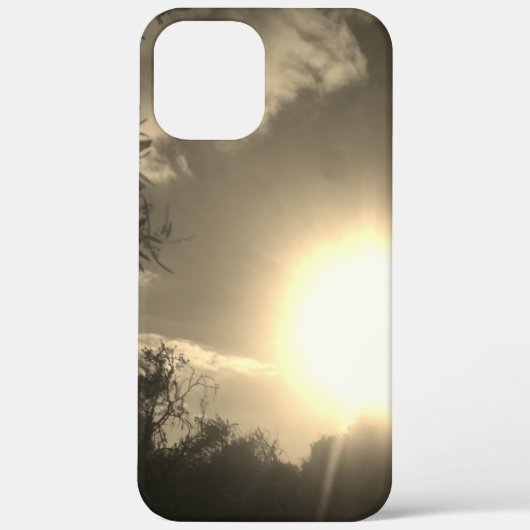 apple iphone 12 Pro hoesje kunst en design (Achterkant)