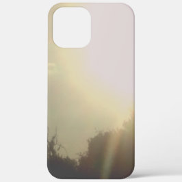 apple iphone 12 Pro hoesje kunst en design