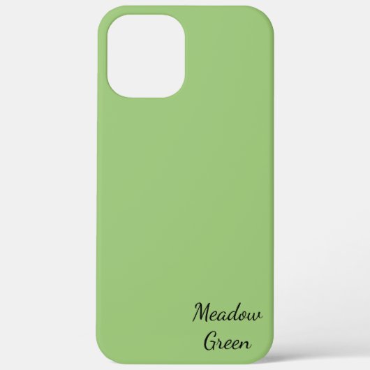 apple iphone 12 Pro hoesje kunst en design (Achterkant)