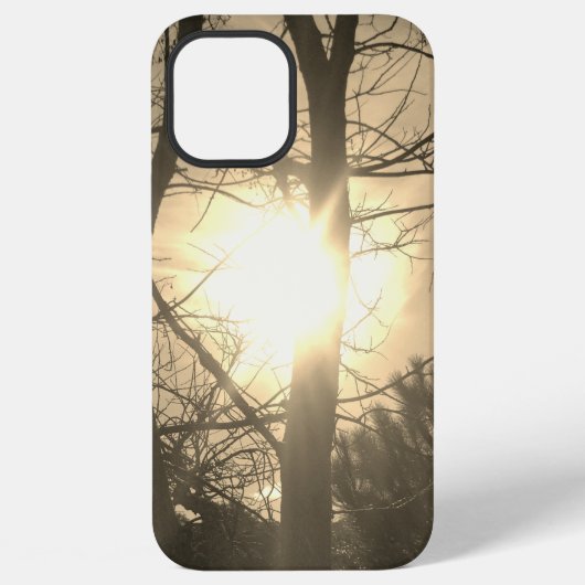 Apple iphone 12 pro max Hoesje cool eco stijl (Achterkant)