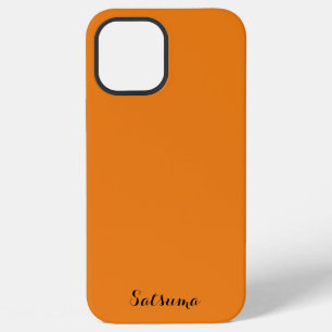 apple iphone 12 pro max hoesje kunst en ontwerp