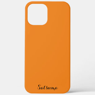 apple iphone 12 pro max hoesje kunst en ontwerp