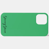 apple iphone 12 pro max hoesje kunst en ontwerp (Achterkant / Rechts)