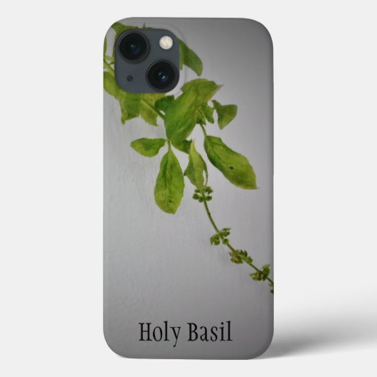 apple iphone 13 hoesje Heilige Basilicum ontwerpst (Achterkant)