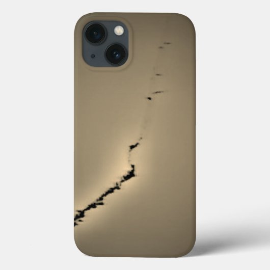 Apple iphone 13 hoesje KUNST EN ONTWERPSTIJL (Achterkant)
