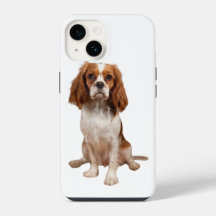 Apple iPhone 14 hoesje met Charles Cavalier