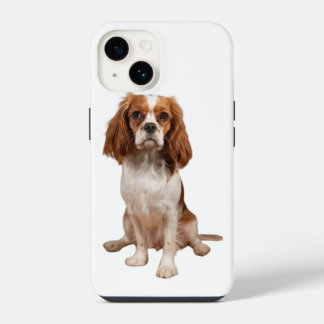 Apple iPhone 14 hoesje met Charles Cavalier