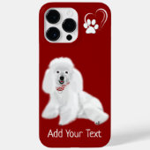 Apple iPhone 14 Pro Max Hoesje (Achterkant)