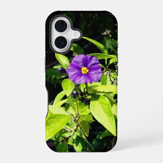 apple iphone 16 hoesje stijl en ontwerp (Achterkant)