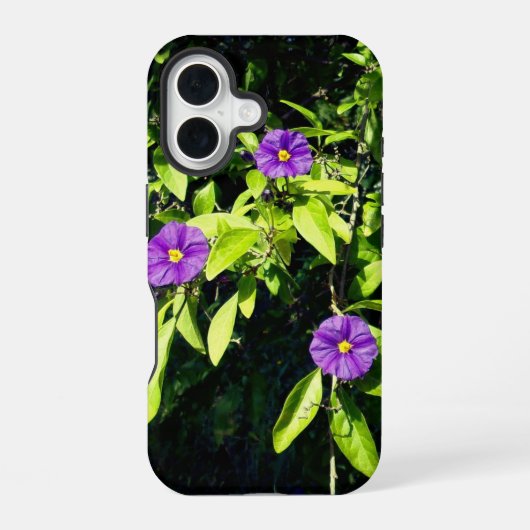 apple iphone 16 hoesje stijl en ontwerp (Achterkant)