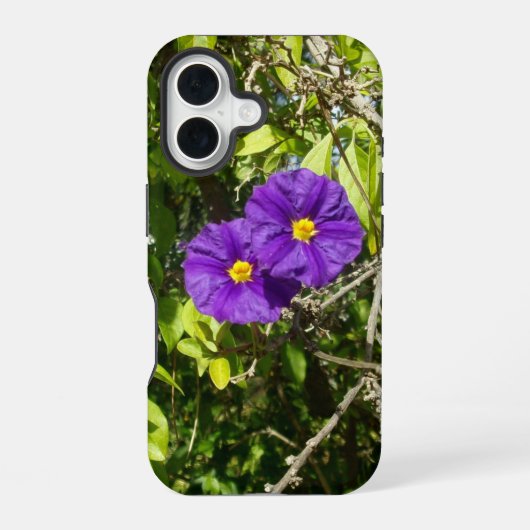 apple iphone 16 hoesje stijl en ontwerp (Achterkant)
