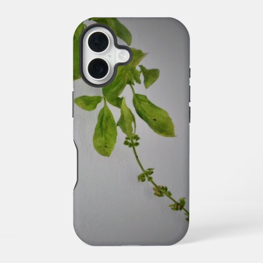 Apple iPhone 16 hoesje stijl en ontwerp (Achterkant)