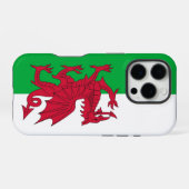 Apple iPhone 16 Pro Case-Mate, Welshe vlag Hoesje (Achterkant horizontaal)