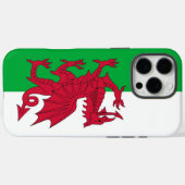 Apple iPhone 16 Pro Max Hoesje, Welshe vlag Case-Mate iPhone Case (Achterkant (horizontaal))