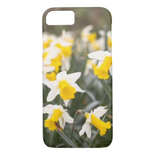Apple iPhone 7 Daffodil Phone Case (Achterkant)