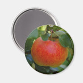 Apple James Grieve magneet (Voorkant / Achterkant)